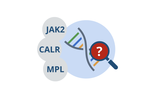 ET PV MF JAK2 CALR MPL
